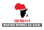 GSM Group Vacancies 2025