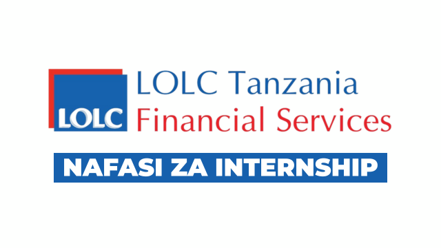ICT Intern at LOLC Tanzania 2025