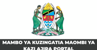 Mambo ya Kuzingatia Wakati wa Kuomba Kazi Ajira Portal