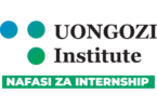 UONGOZI Institute Internship October 2025