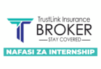 Sales and Marketing Internship at TrustLink Insurance 2025