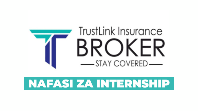 Sales and Marketing Internship at TrustLink Insurance 2025