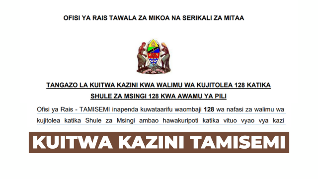TAMISEMI 128 Volunteer Teacher Call for Work 2025