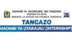 Tanzania Nursing Council (TNMC) Internship 2025