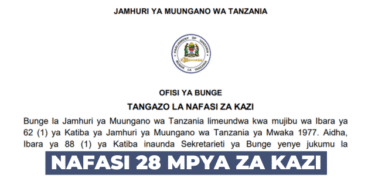 Parliament of Tanzania 28 New Job Vacancies – November 2025