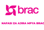 BRAC Tanzania Vacancies November 2025