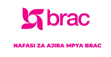 BRAC Tanzania Vacancies November 2025